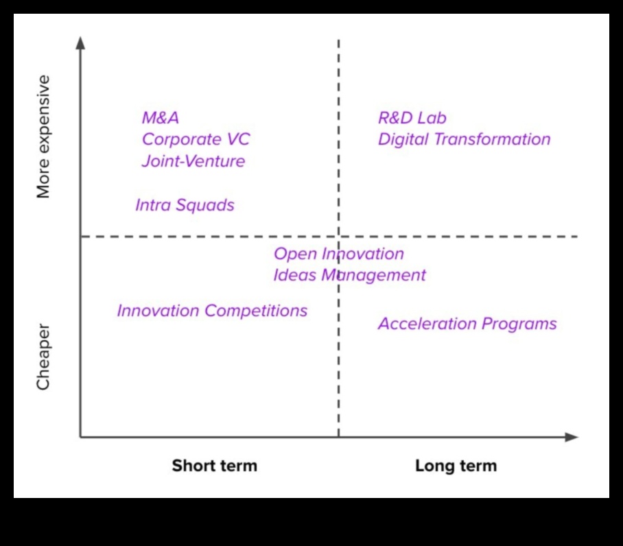 Pāri tradicionālajām robežām: inovācijas biznesa plānošanā